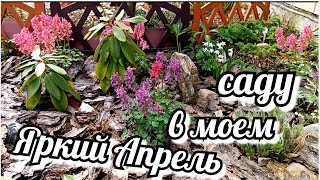 Прогулка по апрельскому саду! Весна всё больше заявляет о себе 🥰