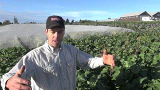 Product (Rutabaga) - Nature's Route Farm Product (Rutabaga) - Nature's Route Farm