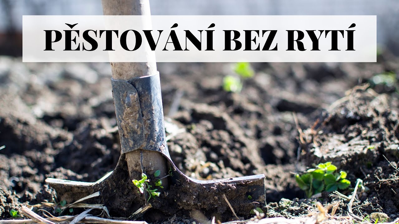 Pěstování bez rytí - tvorba úrodného záhonu