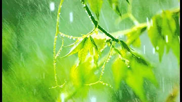 10 Minutes of relaxing rain sounds for Meditation. Ideal for Beginners