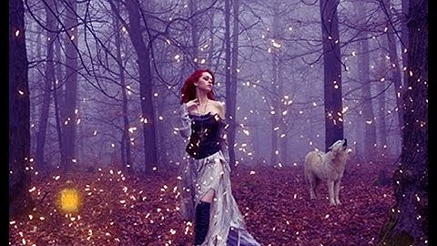 Magic Forest  Photoshop Manipulation Tutorial