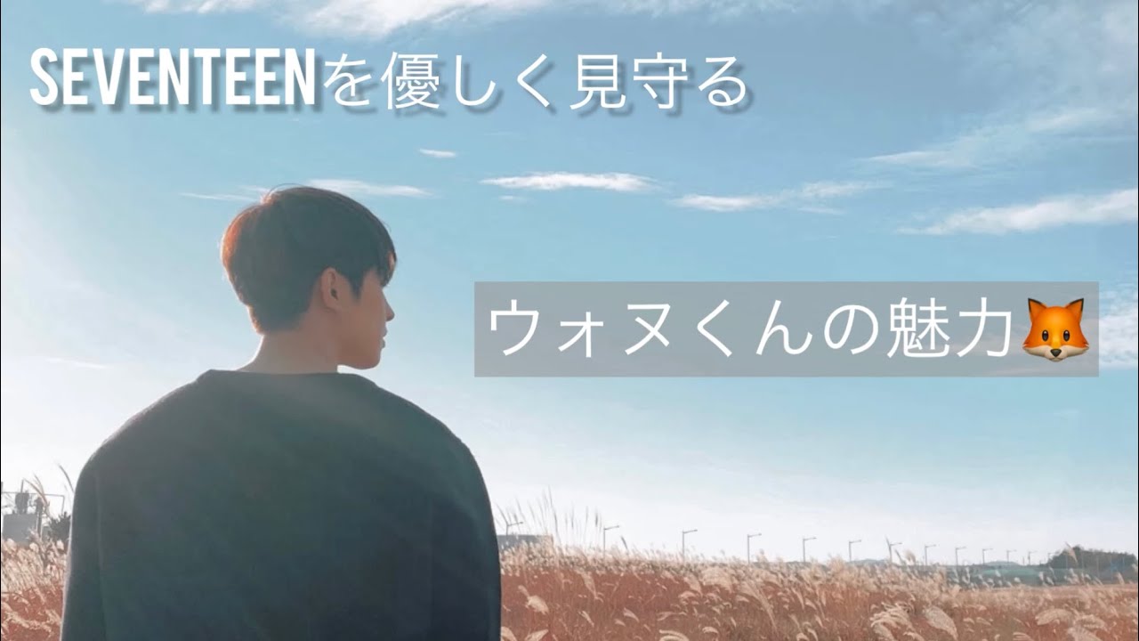 独断と偏見でウォヌくんの魅力を詰め込みました