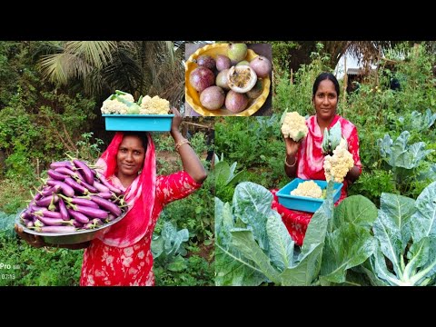 మా పెరటి మొత్తం తీసేస్తున్నాం ఫ్రెండ్స్ 😍ప్రకృతి అందాలు పక్షులు అరుపులు వేజీటేబుల్స్ కోసేద్దాం రండీ