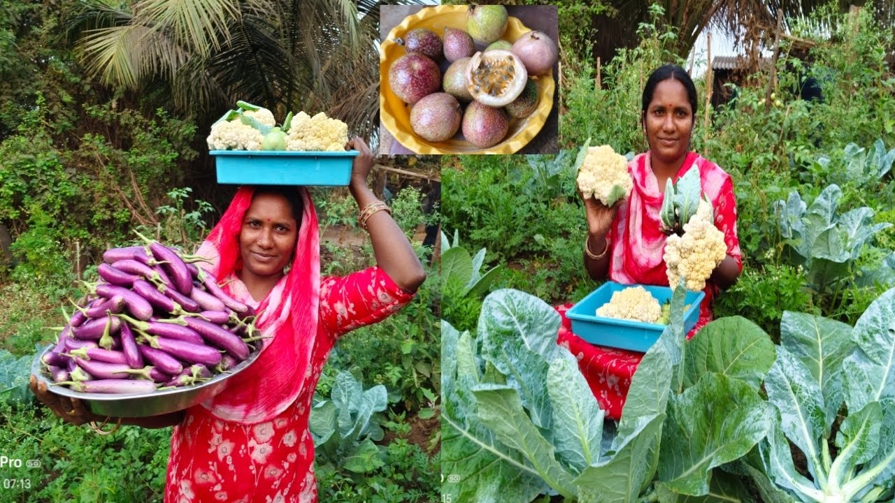 మా పెరటి మొత్తం తీసేస్తున్నాం ఫ్రెండ్స్ 😍ప్రకృతి అందాలు పక్షులు అరుపులు  వేజీటేబుల్స్ కోసేద్దాం రండీ