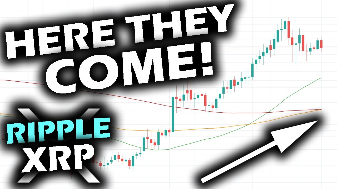 SHOCKED WALL STREET Ready to Flock to Digital Assets as Crypto and