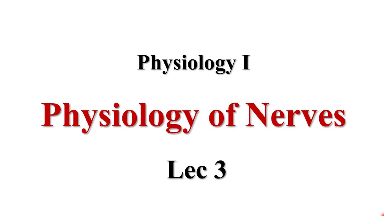 Action Potential (AP) Lec3 Physiology I - YouTube