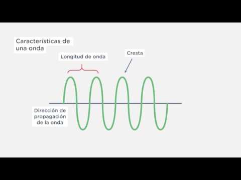 Video: ¿Cuál es la frecuencia de esta onda?