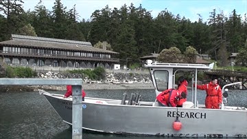 1.2 Tabs on HABs: Basic Sampling Techniques