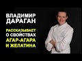 Владимир Дараган рассказывает о желатине и агар-агаре