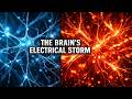 The Quantum Physics of the Human Brain (Epilepsy Explained)