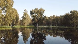 Hadera Forest Swamps