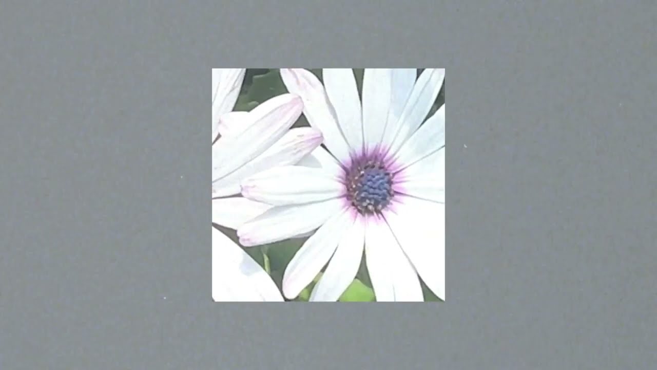 Watch Humble Goods - Howweusedtobe on YouTube Watch Humble Goods - Howweusedtobe on YouTube