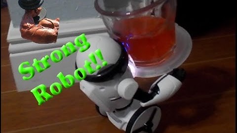 MiP Self Balancing Robot