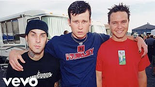blink-182 - WHEN WE WERE YOUNG