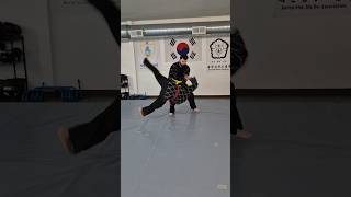 Hapkido: redirection