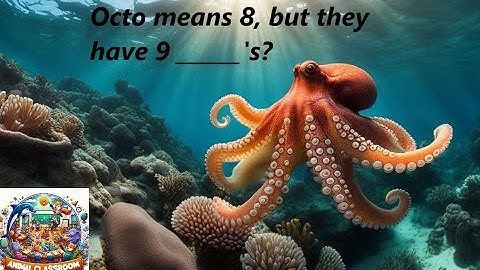 Unveiling the Mysteries of The Octopus