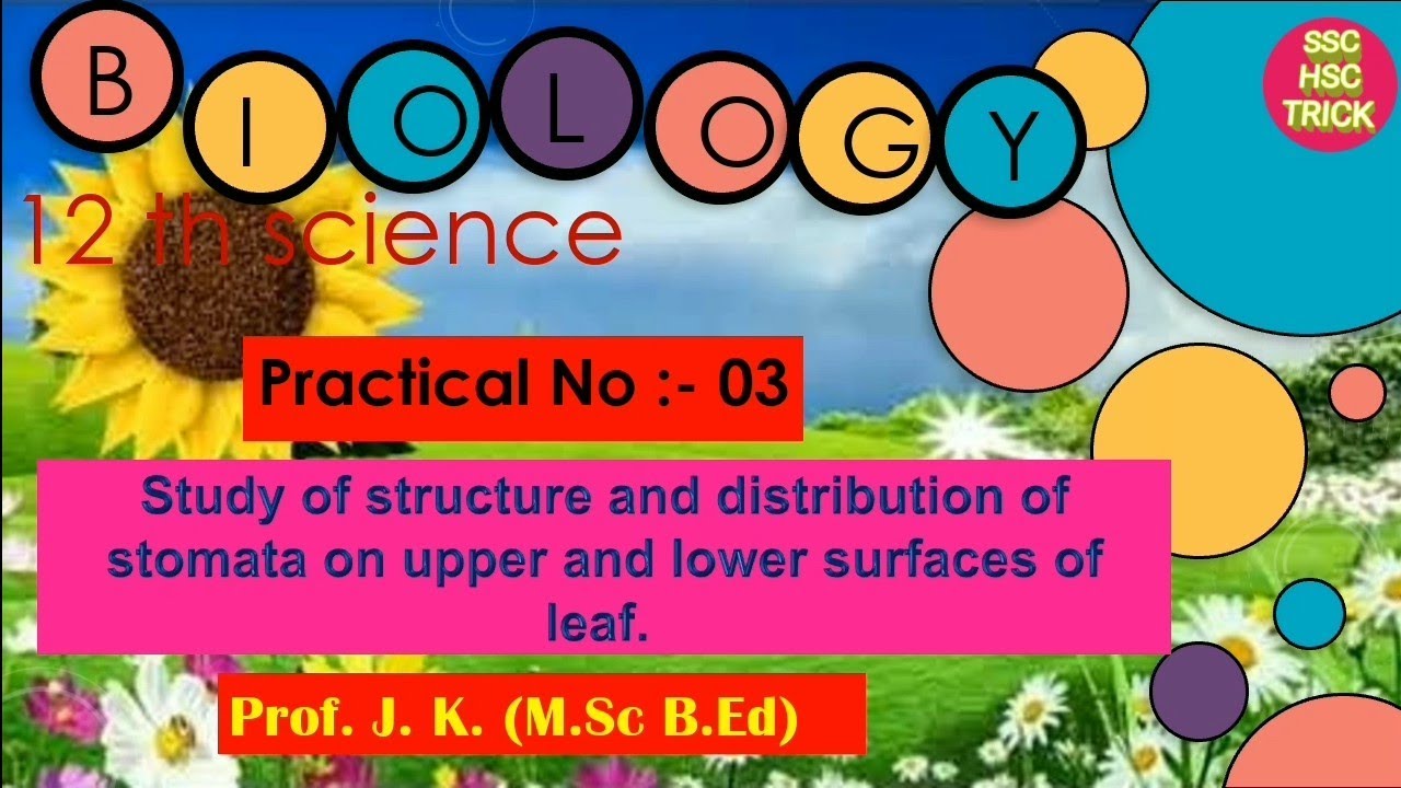 Practical 3 - YouTube