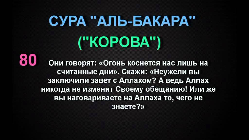 Слушать бакара сура корана