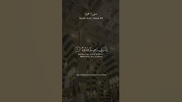 Surah Hud Verse 90 Maher Al Muaiqly سورة هود الآية 90 ماهر المعيقلي #maheralmuaiqly #quran #islam