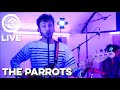 The parrots  just hold on live  sounder session   arcus sounds studio