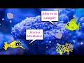 video para Felicitar Cumpleaños a un NIÑO (Modelo Marino) 🐳🐬🐠