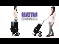 Сумка-візок – кравчучка Andersen Quattro Shopper, Німеччина.