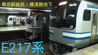 E217系だらけ!東京駅総武・横須賀地下ホーム列車発着集