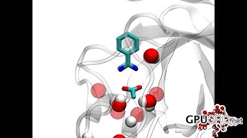 MD simulation reproduces crystallographic waters in pocket upon trypsin-benzamidine binding