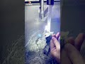 Super cool headlight it is!