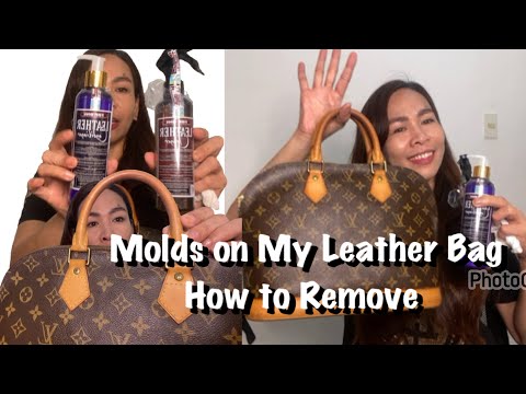 😱 😭 Molds on My Leather Bag-How to Remove?-Lyn Kendeng