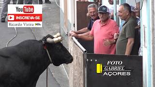 Tourada à corda in Porto Judeu, 24 July 2026