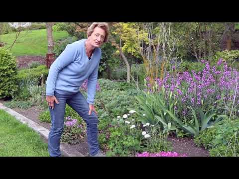 Spring in the garden - Springvale Garden Centre