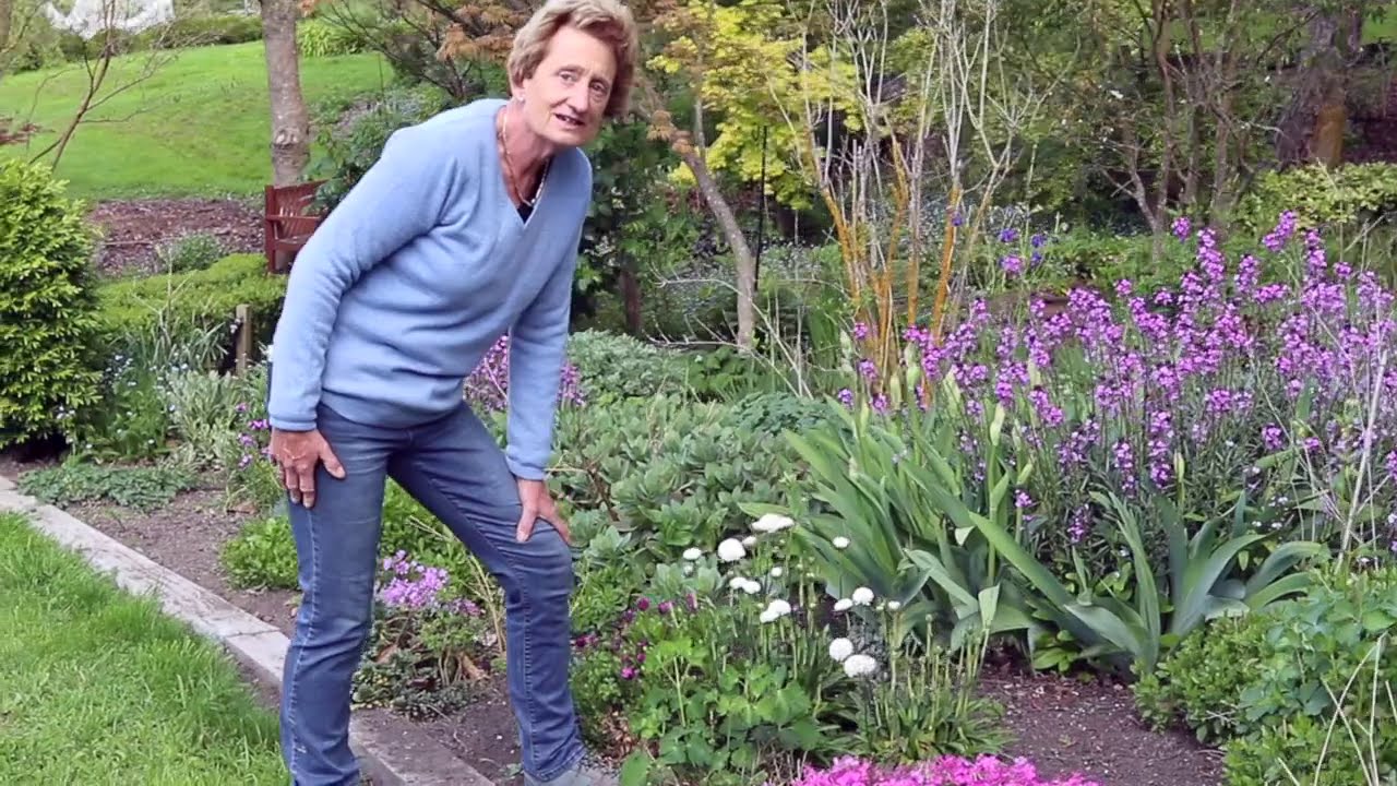 Spring in the garden - Springvale Garden Centre