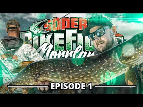 Pike Fight 2020 - Episode 1