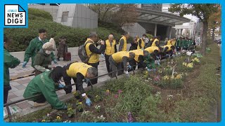 名古屋駅前の花壇に“おもてなしの花” パンジーや葉ボタンで皆さんをお出迎え「ほっと一息ついてほしい」