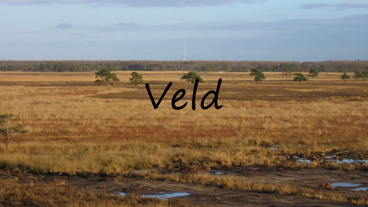 How To Pronounce Veld?