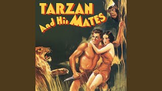 Download Lagu Don't Monkey with Tarzan Download Lagu Don't Monkey with Tarzan