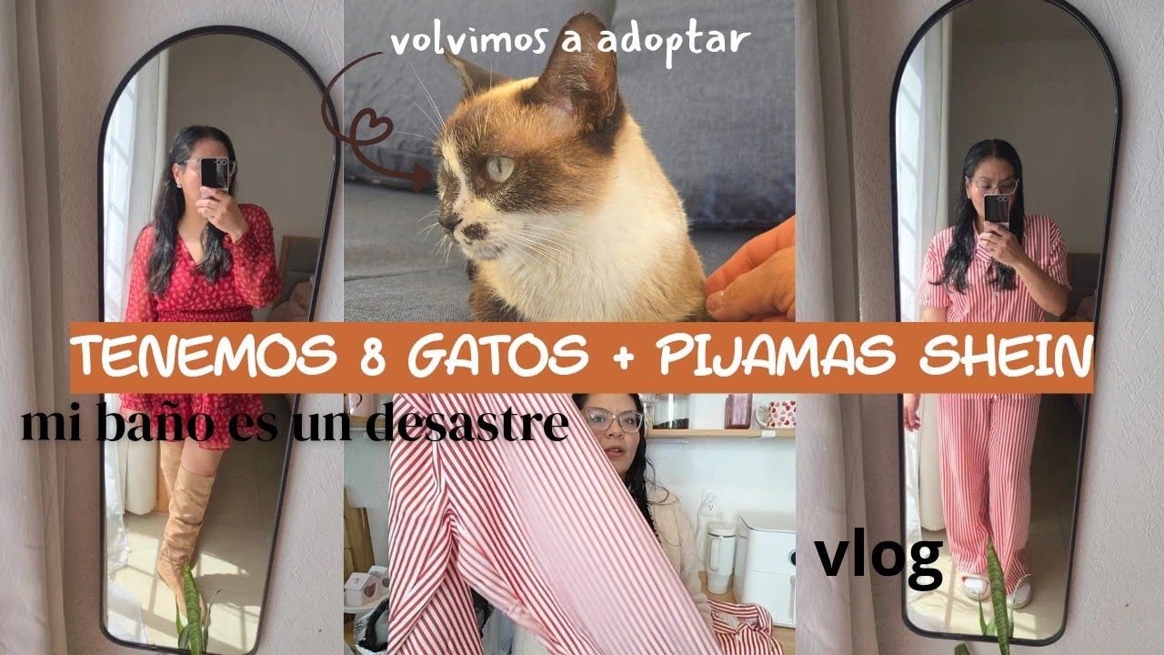 😺 ¡Ahora tenemos 8 Gatos | SHEIN PIJAMAS | Mi baño es un desastre! 🩷✨️