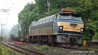 JR貨物 EF66 36号機+コキ8B 貨物列車92レ 幡生→広島 2014.5