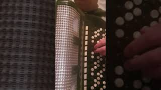 Za Svoju Dusu Dragan Šainović Šaja Corona Time Shajamusic