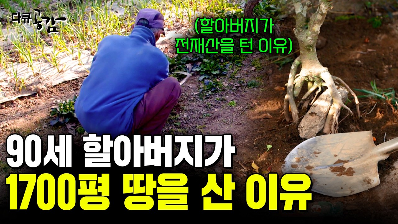 90세 나이에 1700평의 땅을 산 할아버지. 누구의 도움도 없이 혼자서 관리한다! [다큐공감] 우리집에온손님 | KBS 150321