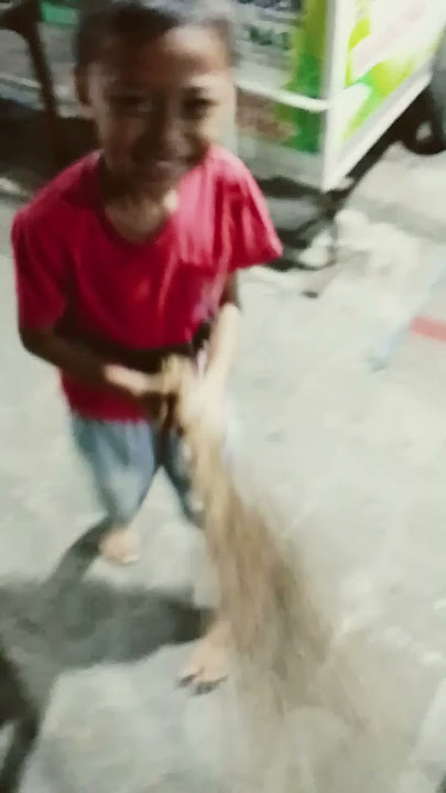 apace apace #fadhil #shortvideo #shorts #short #funny #viral #trending #youtubeshorts #viralvideo