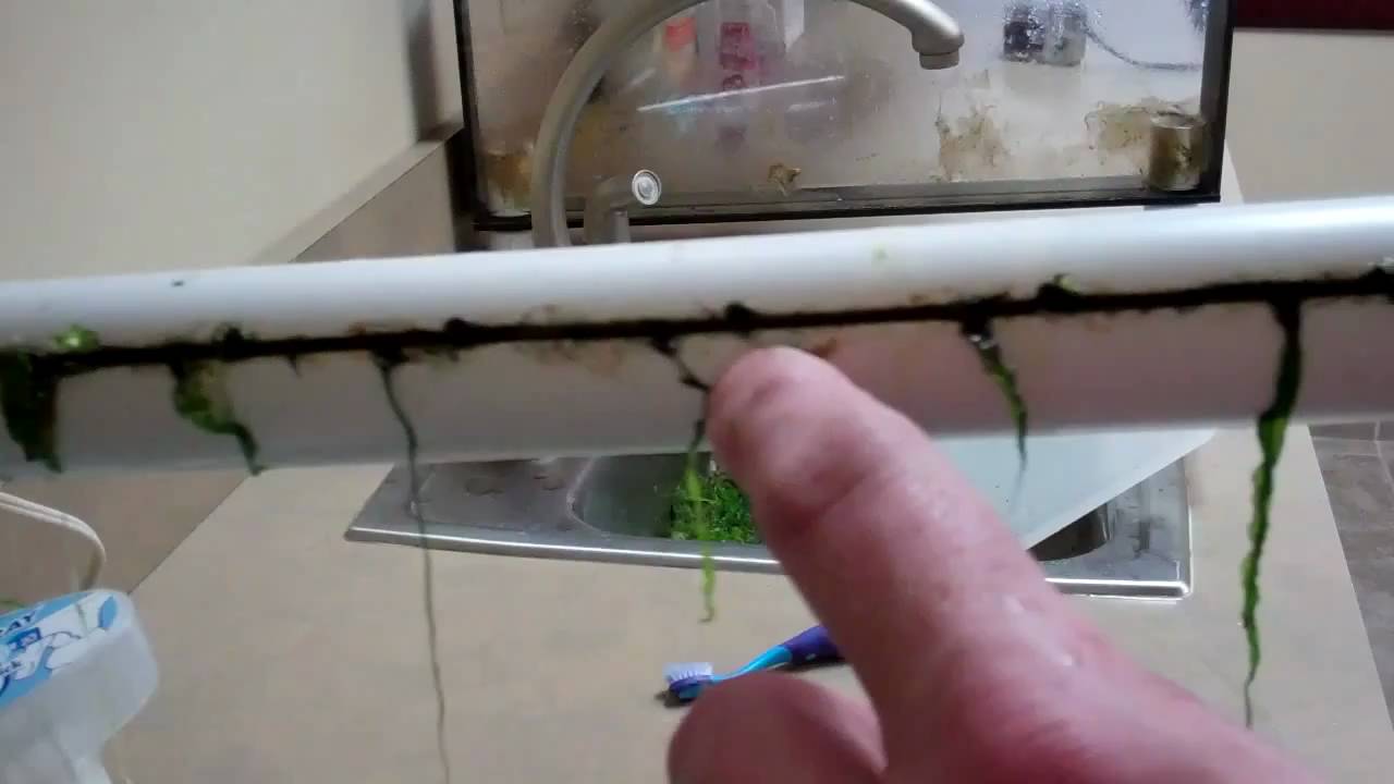 125 Reef Algae Scrubber Screen Cleaning Part 3