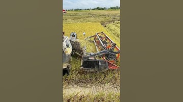 Máy Cắt Lúa Kubota DC 93