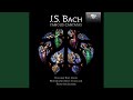 Miniature de la vidéo de la chanson Kantate, Bwv 147 "Herz Und Mund Und Tat Und Leben": Teil I, Iii. Aria (Alto) "Schäme Dich, O Seele, Nicht"