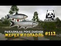 Русская Рыбалка 4 #113 - Рыбалка на реке Вьюнок. Жерех и Голавль