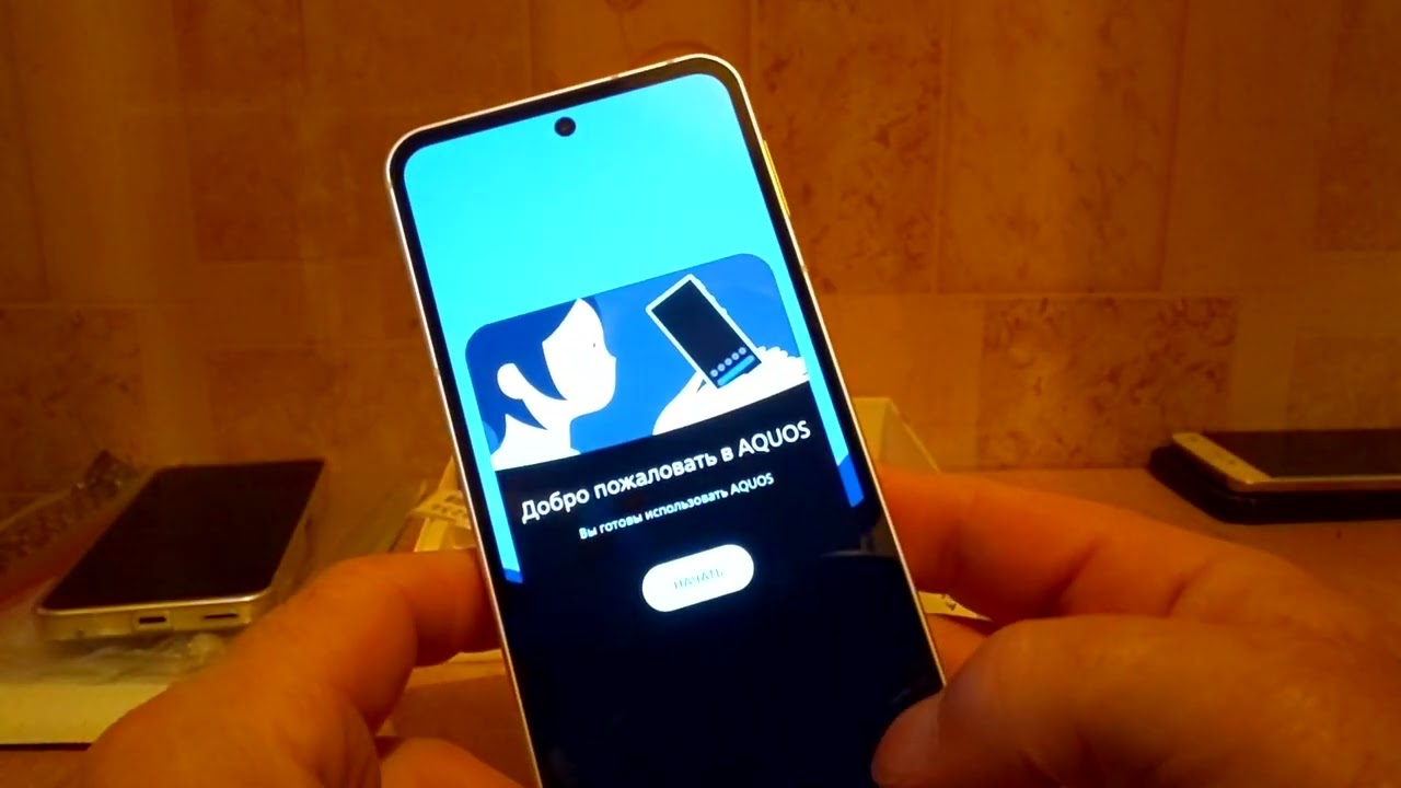 #sharp Sharp Aquos Sense10 8/256.