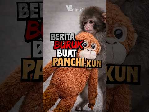 nasib seekor monkey 😔 #anime #animeindo