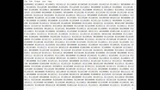 This is the Entire Bee Movie Script in Binary Code