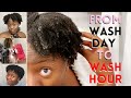 My Updated 2021 Wash Hour Routine | 30 Day Natural Hair Detox